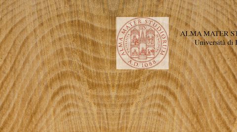 OPENING THE APPLY TO THE HOUSING WOOD COMPONENTS MASTER'S DEGREE