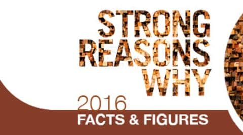 Scm Group 2016 Facts & Figures